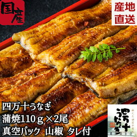 ＼父の日／四万十うなぎ 蒲焼110g 2尾セット うなぎ蒲焼き2本 うなぎ 国産 2尾 鰻 蒲焼き 尾頭付き 真空パック ギフト お返し 贈答 贈り物 化粧箱 のし 高知県産 真空パック クール便 熨斗 箱入り ウナギ 山椒付き タレ付き 産地直送 土用の丑 内祝い