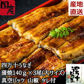 ＼父の日／四万十うなぎ 蒲焼140g 大サイズ 3尾セット うなぎ蒲焼き3本 うなぎ 国産 3尾 鰻 蒲焼き 尾頭付き 真空パック ギフト お返し 贈答 贈り物 化粧箱 のし 高知県産 真空パック クール便 熨斗 箱入り ウナギ Lサイズ 特盛 山椒付き タレ付き 土用の丑 内祝い