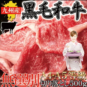  A4EA5 BY јa ؂藎Ƃ 500g Ⓚ Y BBQ j
