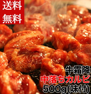  ~ Jr ǂ 500gt Ⓚ BBQ ē j