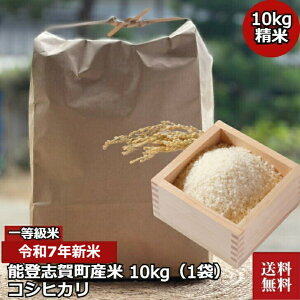 yߘa7NVĔ\ou꒬YzyRVqJ V 10kg \ou꒬Yz󒍐 GAPF Y   Mtg v[g   lΉ Yn  j