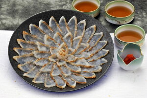  uӂY{v RYY ܂ӂthg VR܂ӂthg80givX`bNM22cmj ||35g ~WIV16g CYi R Ⓚ30 lΉ  Mtg  LO