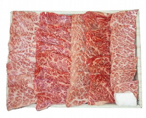 nƖ2N us^v Yјaē 500gioj  s{ Ⓚ30 lΉ  Mtg  LO Yn j