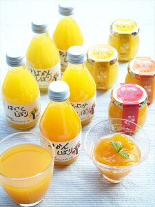 a̎R ɓ_ kW[XVWZbg 100%sAW[X 180ml×5 sAt[cVW E a̎R 퉷120 lΉ  Mtg  LO Yn v[