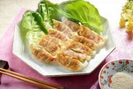 ＼父の日／滋賀 近江牛餃子 14g×15個 惣菜 滋賀県 冷凍365日 熨斗対応 送料無料 ギフト 贈答 記念日 産地直送 プレゼント 内祝い