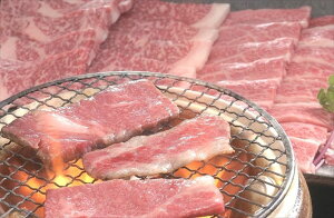 ꋍoē o300g  ꌧ Ⓚ90 lΉ  Mtg  LO Yn v[g j