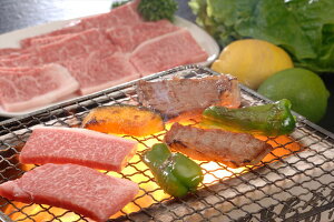 ꋍ[Xē [X300g  ꌧ Ⓚ90 lΉ  Mtg  LO Yn v[g j