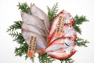  xX uv̂ǂEꂢ銱 Geꂢ3`4iv300g ꊇ^j ̂ǂ3iv150g ʐ^j CYi  Ⓚ60 lΉ  Mtg  LO Yn