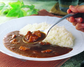 ＼父の日／博多華味鳥 チキンカレー 200g×6食 レトルト・FD 福岡県 常温2年 熨斗対応 送料無料 ギフト 贈答 記念日 産地直送 プレゼント 内祝い