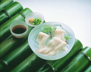  ̌ 艄ׂ߂50g×48 f? ˗ 茧 퉷1095 lΉ  Mtg  LO Yn v[g j