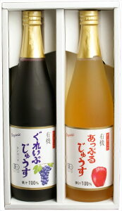 I[KjbNW[X 710ml×2{iO[v Abve1{j E 쌧 퉷548 lΉ  Mtg  LO Yn v[g j