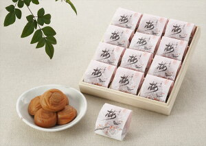 a̎R IB썂~ ~J i6% 240gi20g×12jj ~ a̎R 퉷180 lΉ  Mtg  LO Yn v[g j