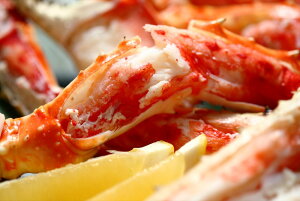 ^oI r 600g 1  I  iVA܂̓mEF[YjlΉ  Mtg v[g  LO Yn j king-k910001