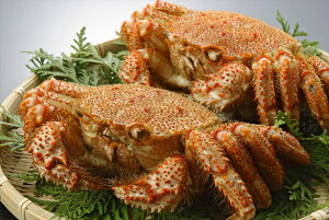 kCY ъI 2t  I уKj Y lΉ  Mtg v[g  LO Yn j king-k910200