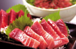 VR ܂ Ԑgg hgZbg 500g ܂  hg lΉ  Mtg v[g  LO Yn j king-m910020