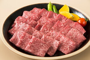  uJAЂv ˋē+ptX 500gAptX200g v[g Mtg 蕨  LO lC lΉ   Yn