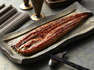 uVyv BYȂ Ȃ10iv1.4kgjA^iRtj×10 v[g Mtg 蕨  LO lC lΉ   Yn