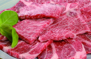  _ˋ Xe[Lē Xe[L600gi4jAēo500g v[g Mtg 蕨  LO lC lΉ   Yn