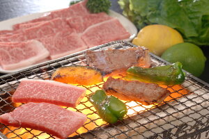 Od uӂ{܁v ㋍ ē 700go v[g Mtg 蕨  LO lC lΉ   Yn