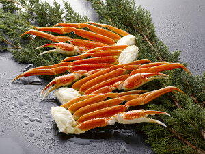 {C킢ɋr 1.6kg v[g Mtg 蕨  LO lC lΉ   Yn