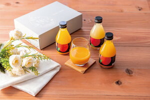 R uzVt[cv ɂق̂yʎW[X3{ R×2AXь×1Ae180ml v[g Mtg 蕨  LO lC lΉ   Yn