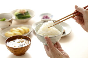 V ᑠXn 싛YЂpbN͂ 180g×36 v[g Mtg 蕨  LO lC lΉ   Yn