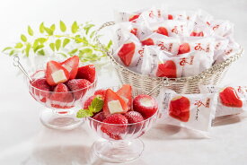 春摘み苺アイス 苺アイス20g×32 プレゼント ギフト 贈り物 贈答 記念日 人気 熨斗対応 名入れ 送料無料 産地直送