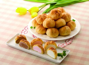 ulQفv V[ACXZbg V[ACX40ml(oj)×10AV[ACX40ml(Xgx[A`R[g)×e5 v[g Mtg 蕨  LO lC lΉ   