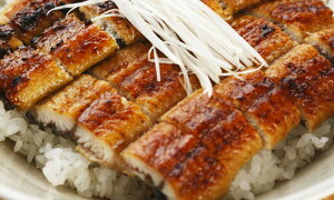 静岡焼きうなぎ(国産うなぎ) 静岡焼きうなぎ120g×2(国産原料) プレゼント ギフト 贈り物 贈答 記念日 人気 熨斗対応 名入れ 送料無料 産地直送