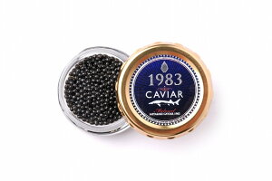 {LrA1983i20gj2Zbg LrA20g×2AVFXv[2{ v[g Mtg 蕨  LO lC lΉ   Yn