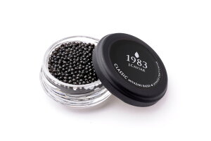 {LrA1983 oG (12g) 2Zbg VxA`EULrA12g×2AVFXv[2{ v[g Mtg 蕨  LO lC lΉ   Yn