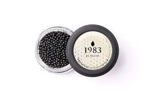 {LrA1983 IVFgv~A (20g) VA`EU嗱LrA20gAVFXv[1{ v[g Mtg 蕨  LO lC lΉ   Yn
