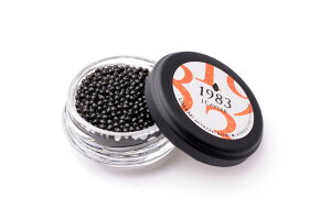 {LrA1983 oG Hה׃Zbg VxA`EULrA20gAVxA`EUaLrA20gAVFXv[2{ v[g Mtg 蕨  LO lC lΉ 