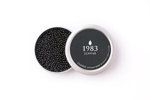 {LrA1983 oG (50g) VxA`EULrA50gAVFXv[1{ v[g Mtg 蕨  LO lC lΉ   Yn