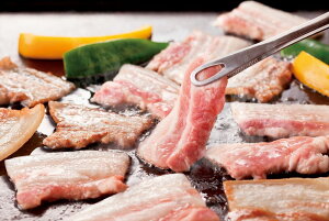 yOd |[N ēz o400g  Od v[g Mtg 蕨  LO lC lΉ   Yn j