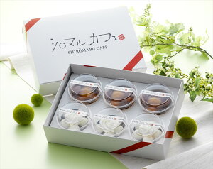 ykC V}JtF ʃXC[cZbgz 6(N[ʂ񂴂3 ݂炵3) aXC[c kC v[g Mtg 蕨  LO lC lΉ   Yn