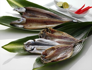 yÉ ÉaYz ^J4 ܂J4 ܊J4 ڑJ4 ڑJ4 CYi É v[g Mtg 蕨  LO lC lΉ   