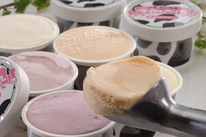 ykC\qACXz 80ml×10(ojr[Y nXJbv N[`[Y ԓ Xgx[ e2 ) ACX ACXN[ kC \ q v[g Mtg 蕨 