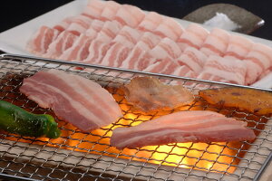 yR`HДF R` oēi400gjz oēp400g  R` v[g Mtg 蕨  LO lC lΉ   Yn j