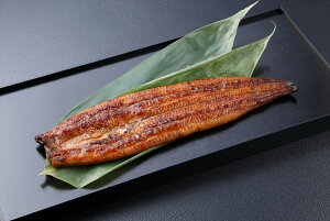 yȂ≮̑ YVăZbgz ×6(v720g) Rt15ml×6 CYi É v[g Mtg 蕨  LO lC lΉ  Yn yp̉N j