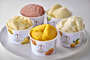 uDv v~A\x i}S[AMq݂͂AXgx[AAS[fpCje90ml×e2 v10 ACX ACXN[ XC[c D s v[