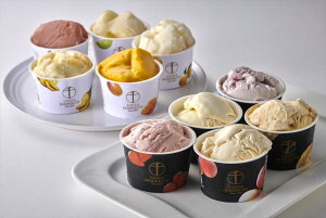 uDv v~AACX\x ACX ACXN[ XC[c D s v[g Mtg 蕨  LO lC lΉ   Yn j