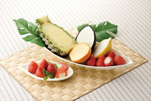 ʎACXl 䕃ACX10 ͂ԂpCE͂ԂIWE͂ԂRRibcE͂Ԃ񃌃×e1 ACX v[g Mtg 蕨  LO lC lΉ  