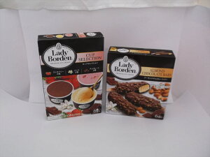 レディーボーデン」&苺の宝石箱セット アイス プレゼント ギフト 贈り物 贈答 記念日 人気 熨斗対応 名入れ 送料無料 産地直送 内祝い