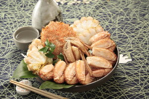 kCY {CтɎp 500g×1 CYi kC v[g Mtg 蕨  LO lC lΉ   Yn j