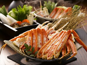 {C킢ɋr 800g CYi v[g Mtg 蕨  LO lC lΉ   Yn j