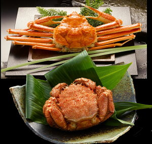 {CYCKjp{CуKjZbg {Cp킢450g×1iJi_Yj {Cт350g×1ikCYj CYi v[g Mtg 蕨  LO lC lΉ  