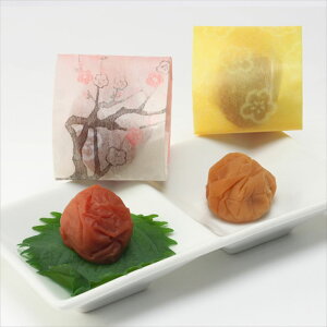 a̎R IB_ yI~ 20i ݂͂e10j F݂͂8% 12% ~ a̎R v[g Mtg 蕨  LO lC lΉ   Yn j