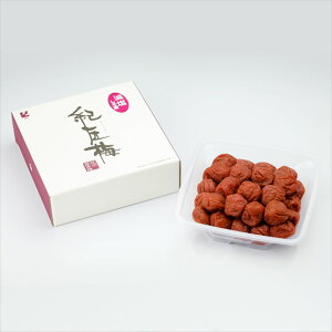 IB_ IB썂~ I~  550gi5%j ~ a̎R v[g Mtg 蕨  LO lC lΉ   Yn j