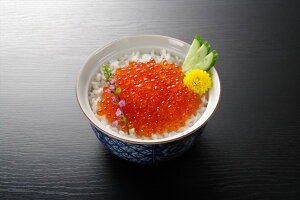 北海道産 いくら醤油漬け 120g(40g×3パック) 海産品 北海道 いくら 醤油漬け プレゼント ギフト 贈り物 贈答 記念日 人気 熨斗対応 名入れ 送料無料 産地直送 内祝い